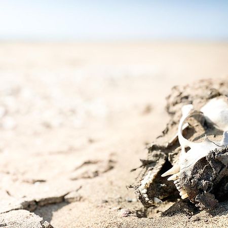 Skeleton Beach Backpackers Swakopmund Eksteriør billede